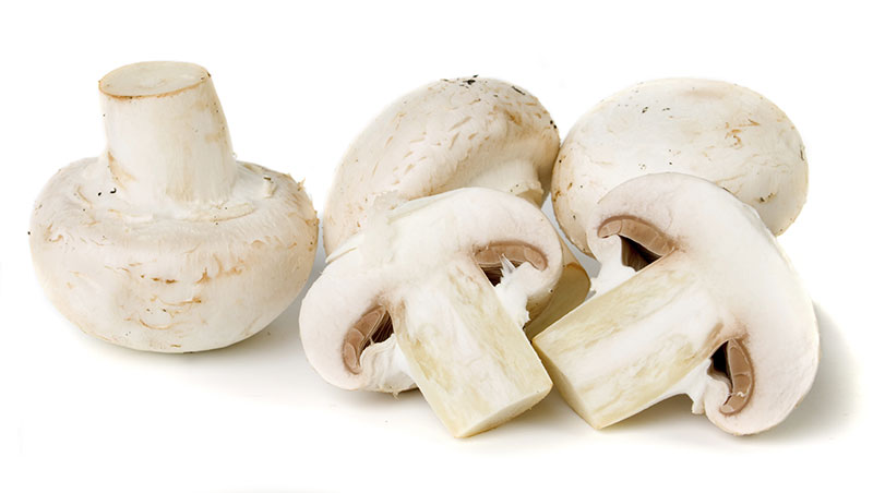 خواص قارچ سفید (0 تا 100 نکات درمانی و تغذیه ای)