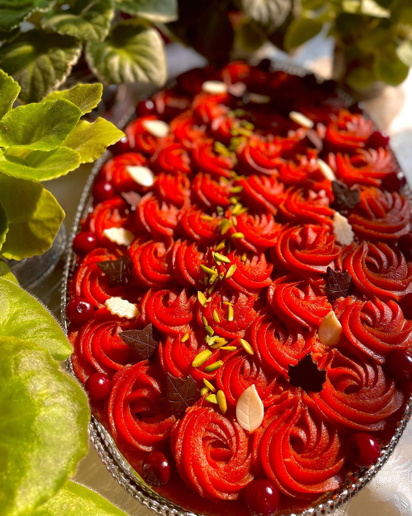 طرز تهیه حلوای آلبالو خوشمزه و مجلسی برای مهمانی
