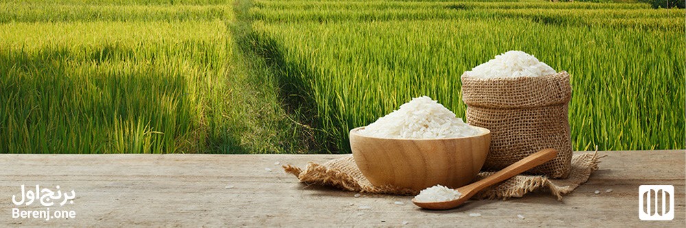 چند نوع برنج ایرانی داریم؟