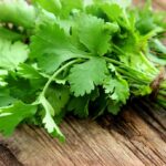 خواص گشنیز برای تنبلی تخمدان (2 خاصیت شگفت انگیز)