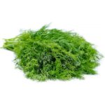خواص سبزی شوید برای زنان (2 خاصیت شگفت انگیز)