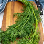خواص سبزی شوید خشک در طب سنتی (2 خاصیت شگفت انگیز)
