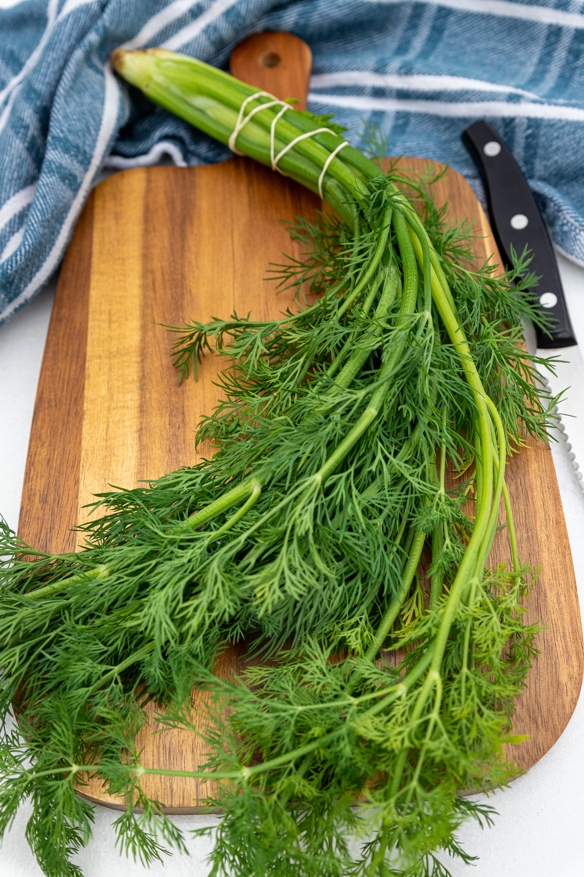 خواص سبزی شوید خشک در طب سنتی (2 خاصیت شگفت انگیز)