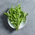 ترخون برای سرماخوردگی؛ آیا این گیاه دارویی در مقابله با بیماری‌ها مؤثر است؟