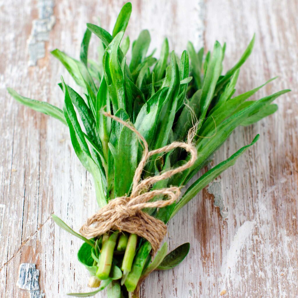 خواص سبزی ترخون برای کبد (2 خاصیت شگفت انگیز)