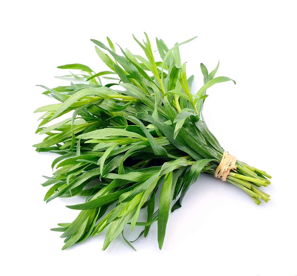 خواص سبزی ترخون برای کودکان (2 خاصیت شگفت انگیز)