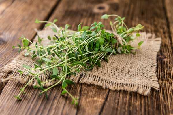 آیا آویشن برای تیروئید ضرر دارد (2 نکته شگفت انگیز)