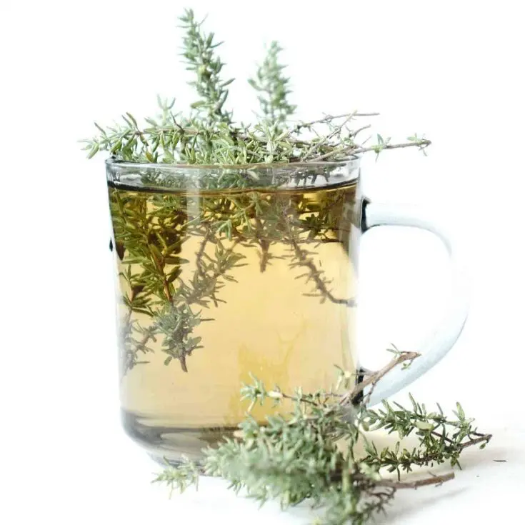 آیا دمنوش آویشن چربی سوز است ؟ (2 نکته شگفت انگیز)
