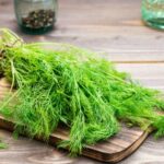 خواص سبزی شوید برای لاغری (2 خاصیت شگفت انگیز)