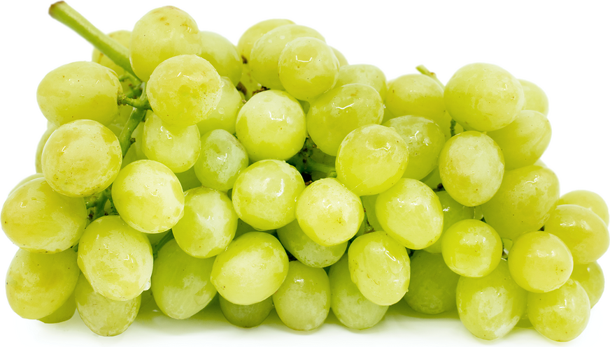 خواص انگور سبز در بارداری (2 خاصیت شگفت انگیز)