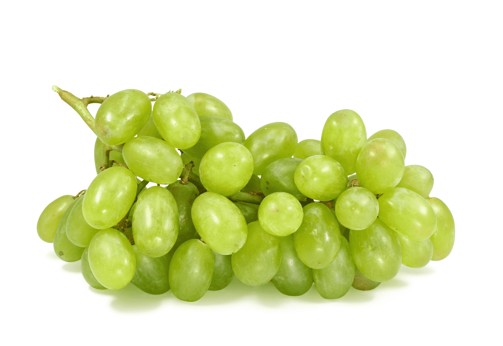 خواص انگور سبز در لاغری (2 خاصیت شگفت انگیز)