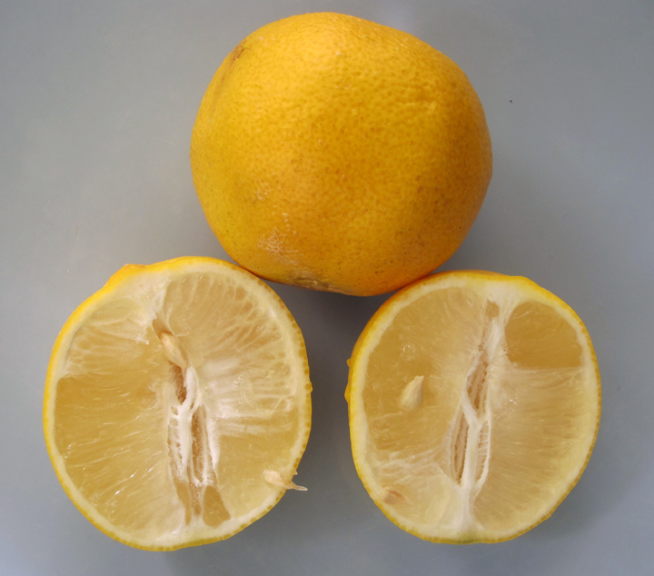 خواص لیمو شیرین برای سرماخوردگی (2 خاصیت شگفت انگیز)