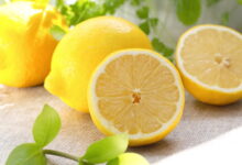 خواص لیمو شیرین برای معده و دستگاه گوارش: راهنمای کامل علمی