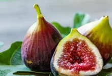 خواص انجیر برای معده و دستگاه گوارش: راهنمای جامع و علمی