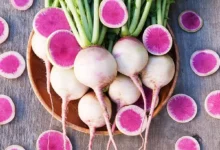 خواص شگفت‌انگیز تربچه برای مردان: از سلامت قلب تا تقویت پروستات