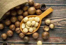 خواص فندق ماکادمیا