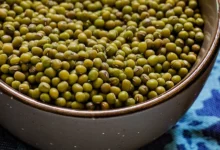 ماش سبز برای کودکان: یک راهنمای کامل از فواید تغذیه‌ای تا نحوه مصرف ایمن