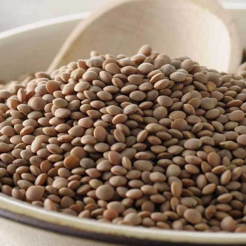 خواص عدس برای کودکان (3 تاثیر شگفت انگیز)