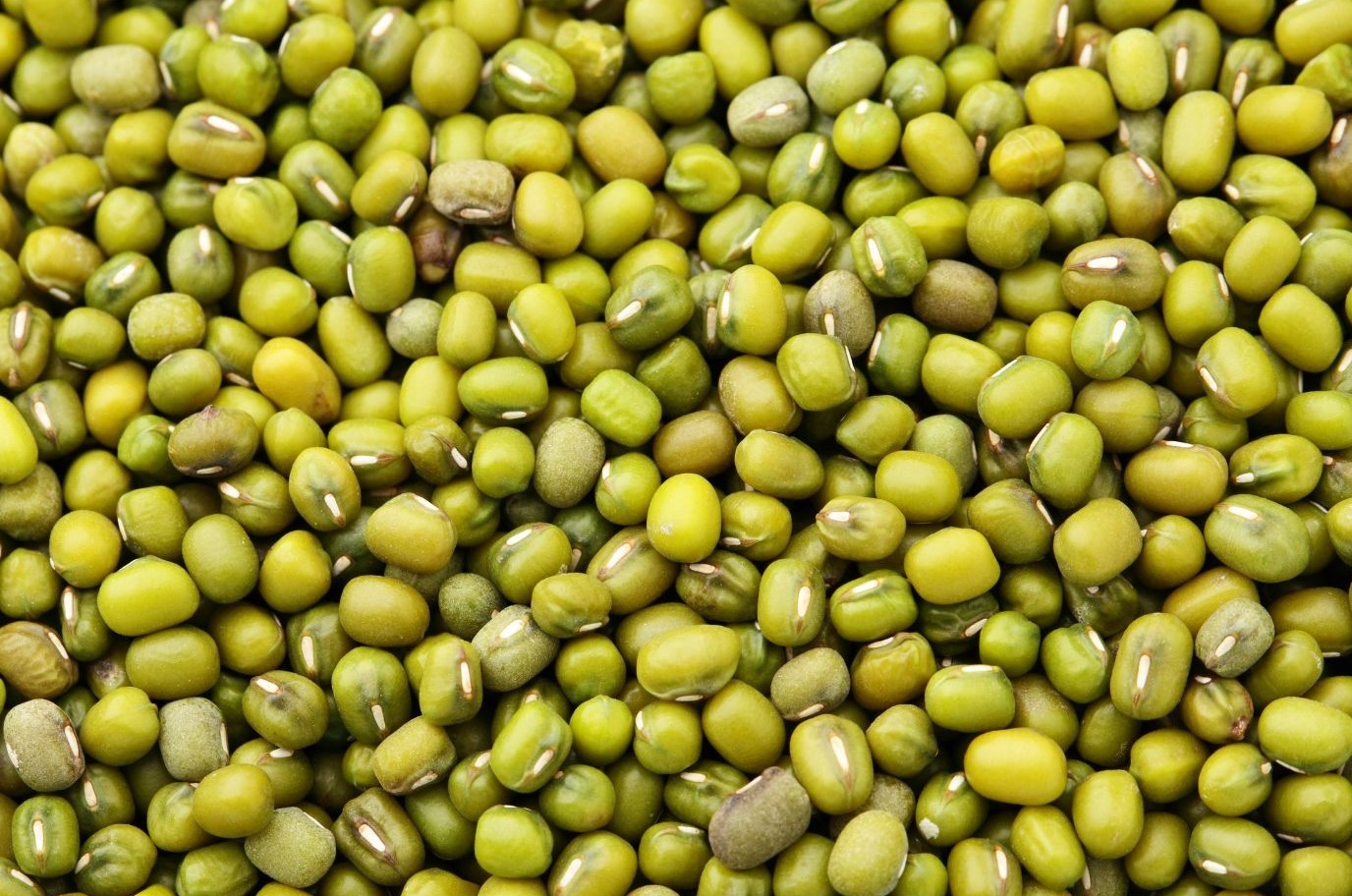 خواص ماش در طب سنتی (۳ تاثیر شگفت انگیز)