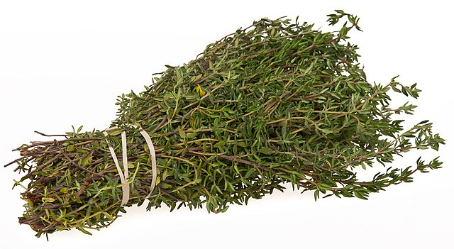 گیاه آویشن چه ویتامینی دارد؟ (2 نکته شگفت انگیز)