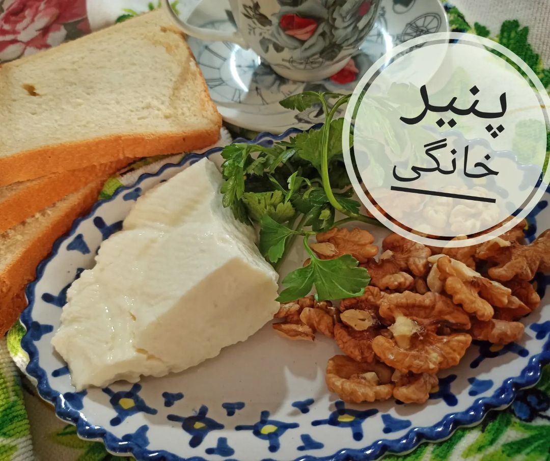 طرز تهیه پنیر خانگی خوشمزه و ساده به سبک کارخانه ای