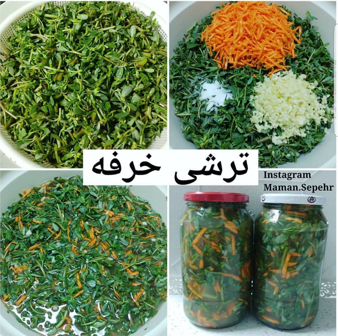 طرز تهیه ترشی خرفه خانگی خوشمزه و ساده (مرحله به مرحله) طرز تهیه ترشی خرفه خانگی خوشمزه و ساده (مرحله به مرحله)