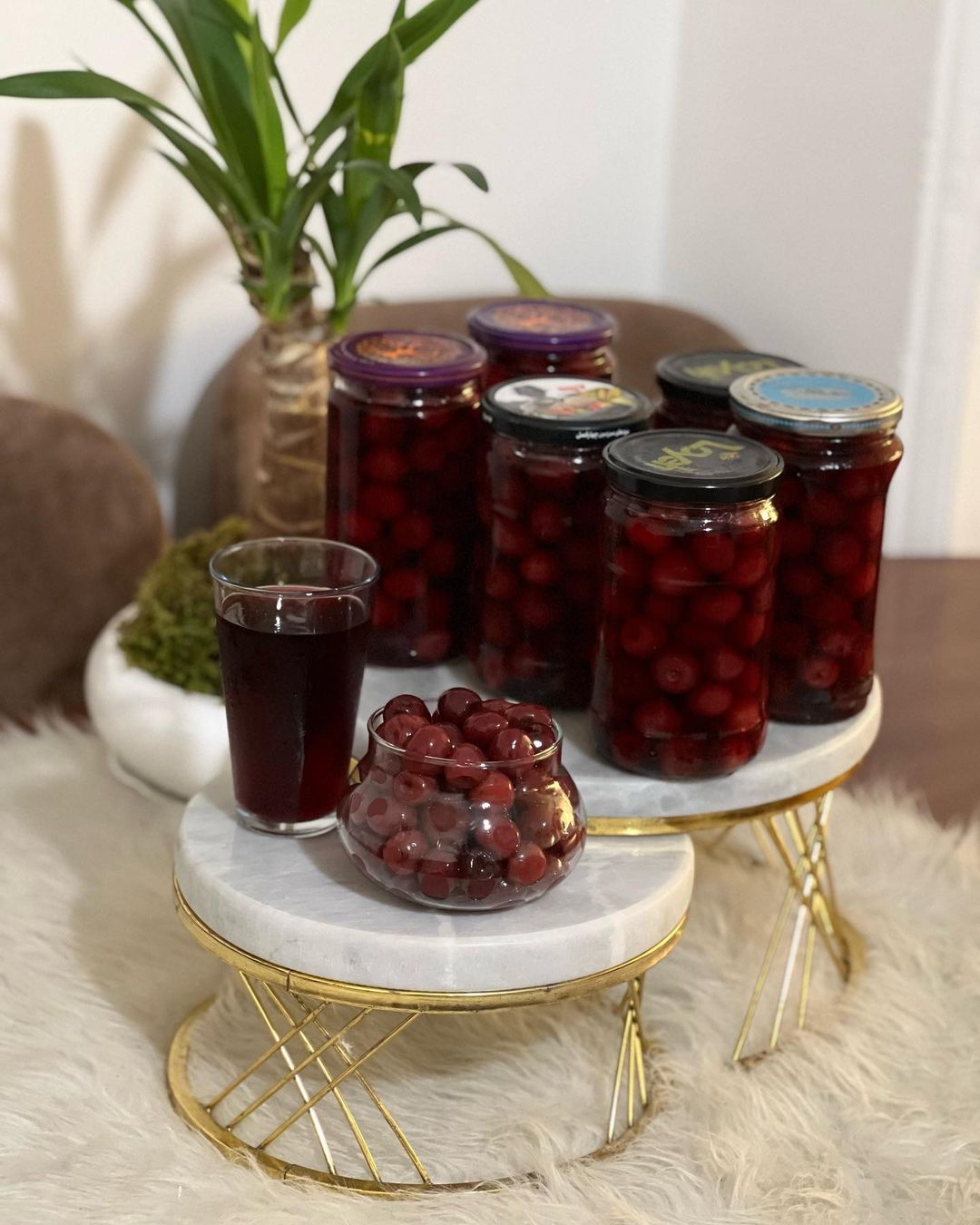 طرز تهیه کمپوت گیلاس خانگی خوشمزه و ساده (مرحله به مرحله) طرز تهیه کمپوت گیلاس خانگی خوشمزه و ساده (مرحله به مرحله)