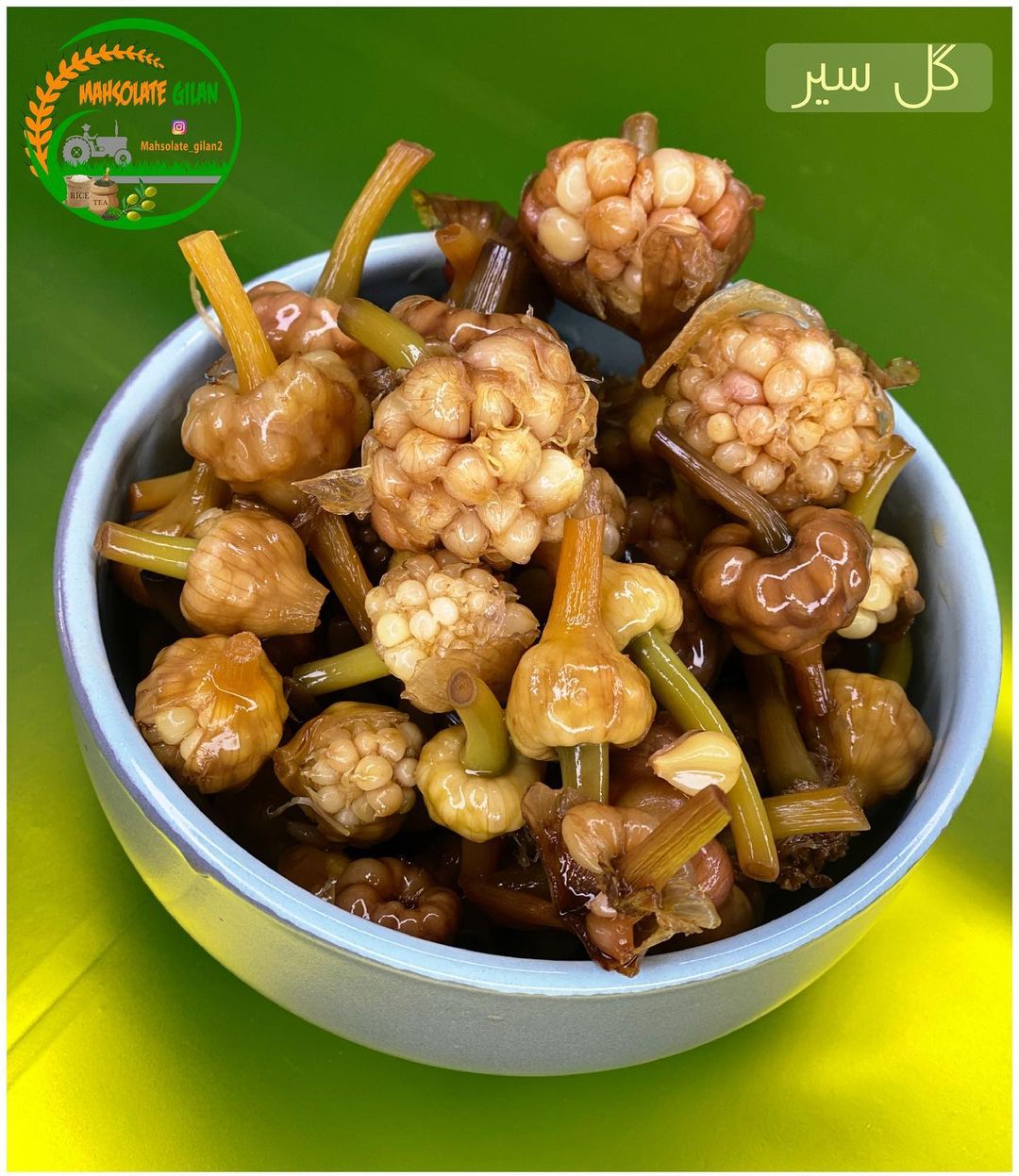 طرز تهیه ترشی گل سیر خانگی خوشمزه و ساده (مرحله به مرحله) طرز تهیه ترشی گل سیر خانگی خوشمزه و ساده (مرحله به مرحله)
