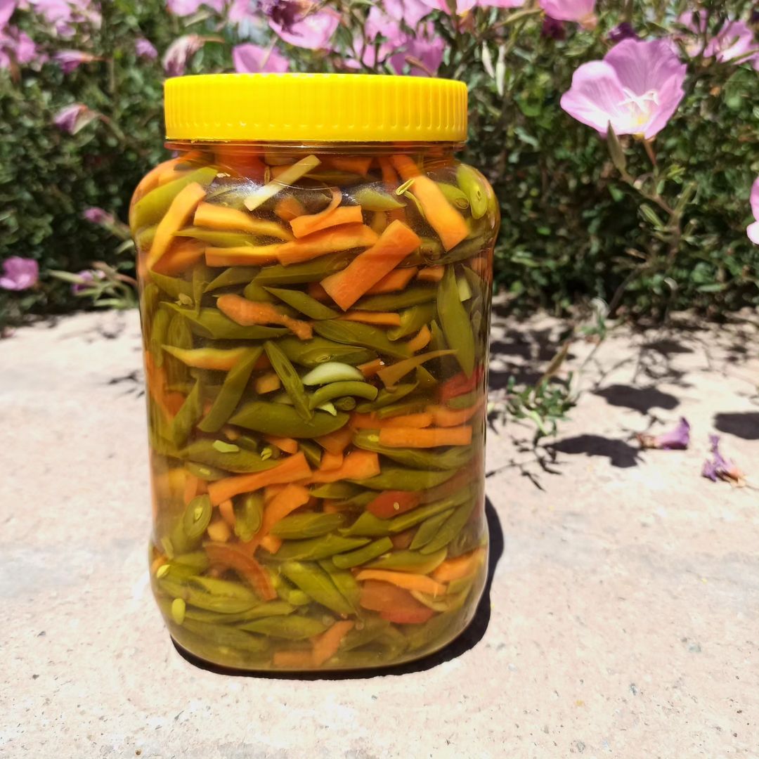 طرز تهیه ترشی لوبیا سبز خانگی خوشمزه و ساده (مرحله به مرحله)