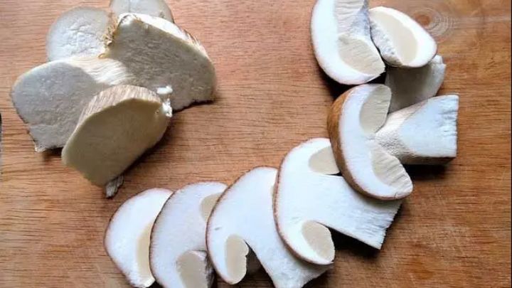 با این روش قارچ را تا یک سال بدون سیاه شدن نگهداری کنید