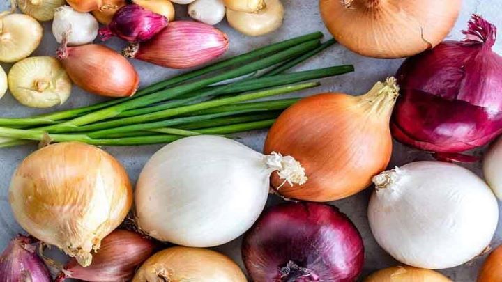بهترین نوع پیاز برای تهیه کوبیده؛ راز طعم اصیل کباب