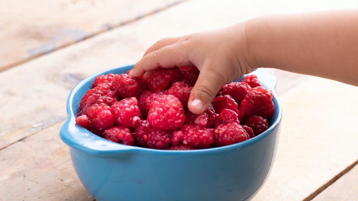 تمشک؛ ۷ گنجینه ویتامین برای کوچولوها