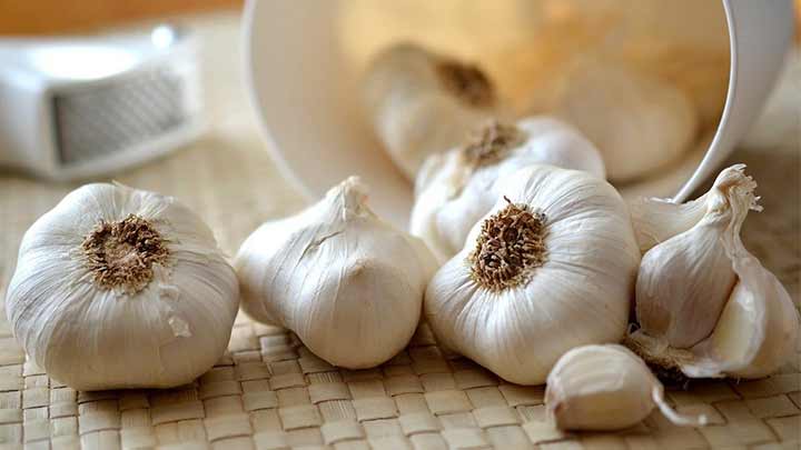 خواص سیر ناشتا؛ فوایدی که تا حالا نمی‌دانستید!