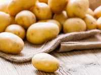 طبع سیب زمینی : سیب زمینی سرد است یا گرم ؟