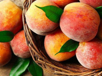 کالری هلو : ۱۰۰ گرم هلو چقدر کالری دارد ؟