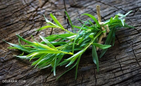 سبزی های ترشی/سبزی برای ترشی بادمجان