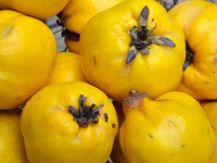 به چه خواصی دارد؟