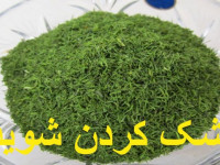 آموزش بهترین روش برای خشک کردن شوید در منزل