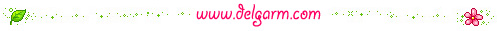divider