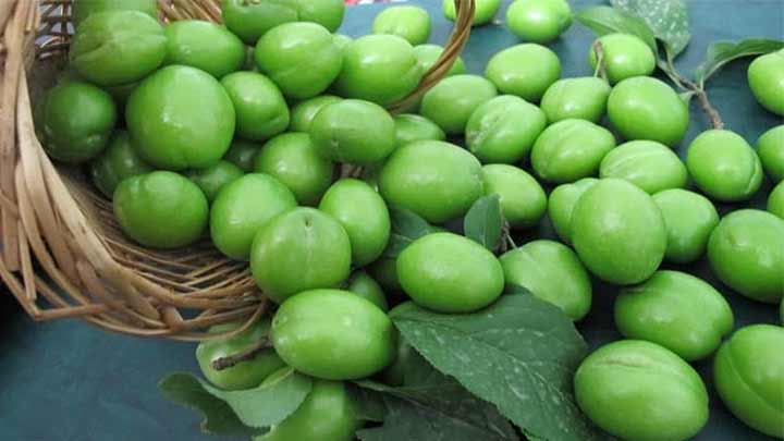 ۳ روش خشک کردن گوجه سبز؛ برای نگهداری طولانی مدت