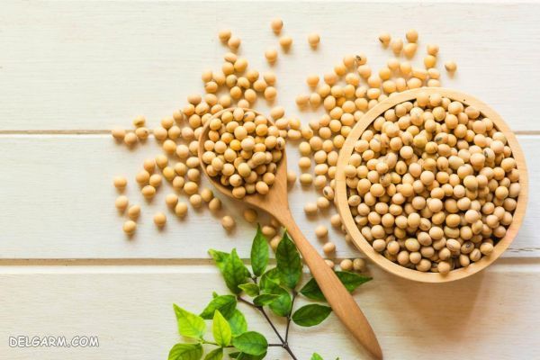 ۵ غذای گیاهی خوشمزه و آسان با سویا + عکس