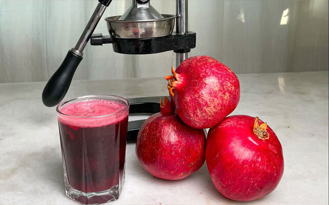 طرز کار استفاده از آبمیوه گیری (0 تا 100 نکات کلیدی)