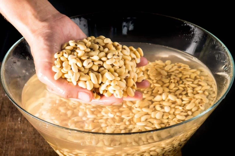 فلاسک برای گرفتن نفخ حبوبات