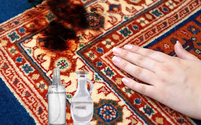 نقش سرکه سفید و الکل در ترمیم سوختگی فرش با زغال