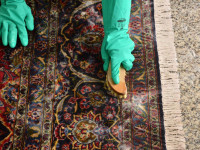 10 نکته مهم برای شستن فرش و موکت در منزل