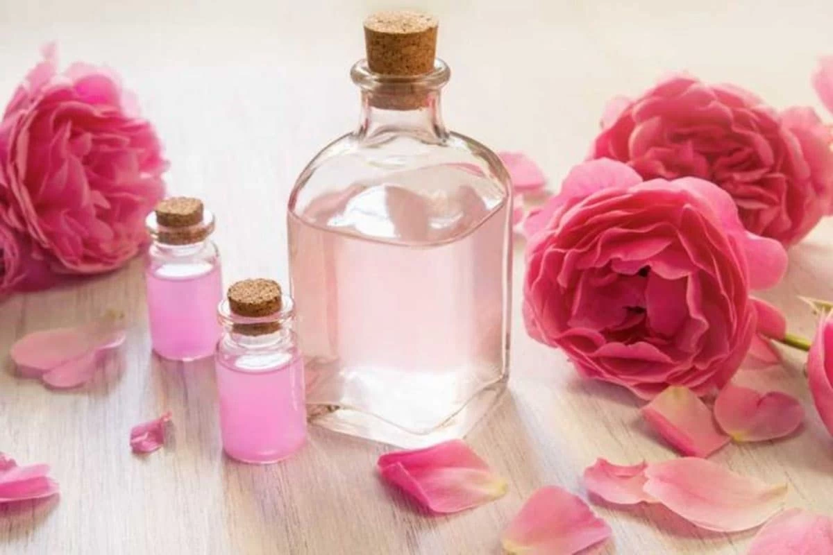 روش های تشخیص گلاب فاسد و خراب شده (2 نکته مهم) روش های تشخیص گلاب فاسد و خراب شده (2 نکته مهم)