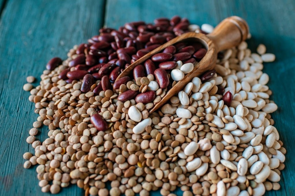 حبوبات را چطور فریز کنیم که ماندگاری بیشتری داشته باشد و خراب نشود؟ (2 نکته مهم)