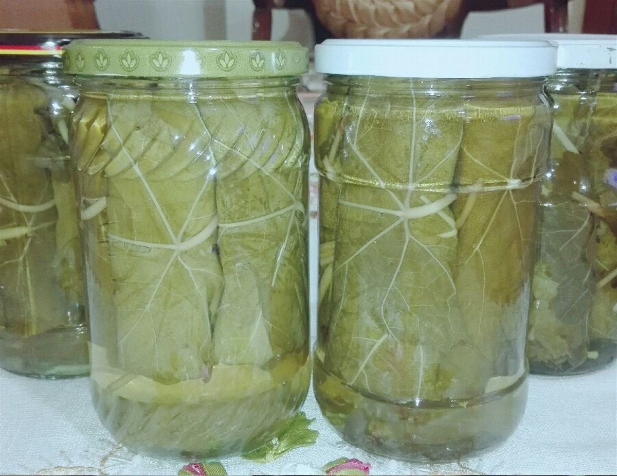 طرز تهیه کنسرو برگ مو خانگی (2 نکته مهم) طرز تهیه کنسرو برگ مو خانگی (2 نکته مهم)