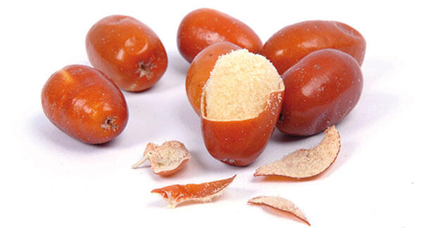 بهترین روش برای پودر و آسیاب کردن هسته سنجد (2 نکته مهم)