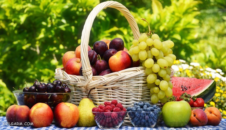 فریز کردن مواد غذایی / کدام مواد غذایی را فریز نکنیم 
